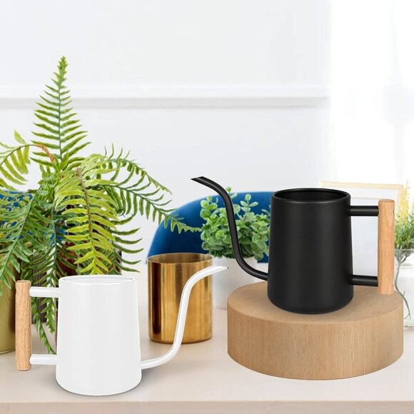 Watering Can for Indoor Plants, 35 oz/1000 ml Metal Stainless Steel Pot with Lon - Picture 2 of 7